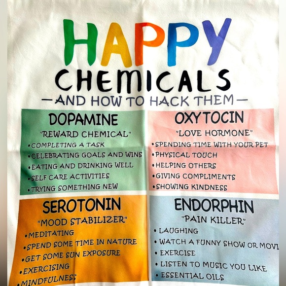17.5”x17.5 square pillow case with Happy Chemicals How to Hack Them - Picture 1 of 4
